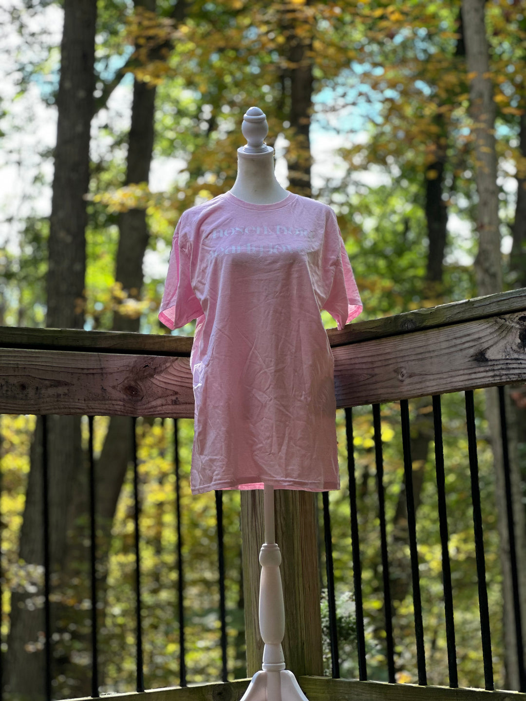 Chosen, Holy, Dearly Loved | Faith-Inspired Tee