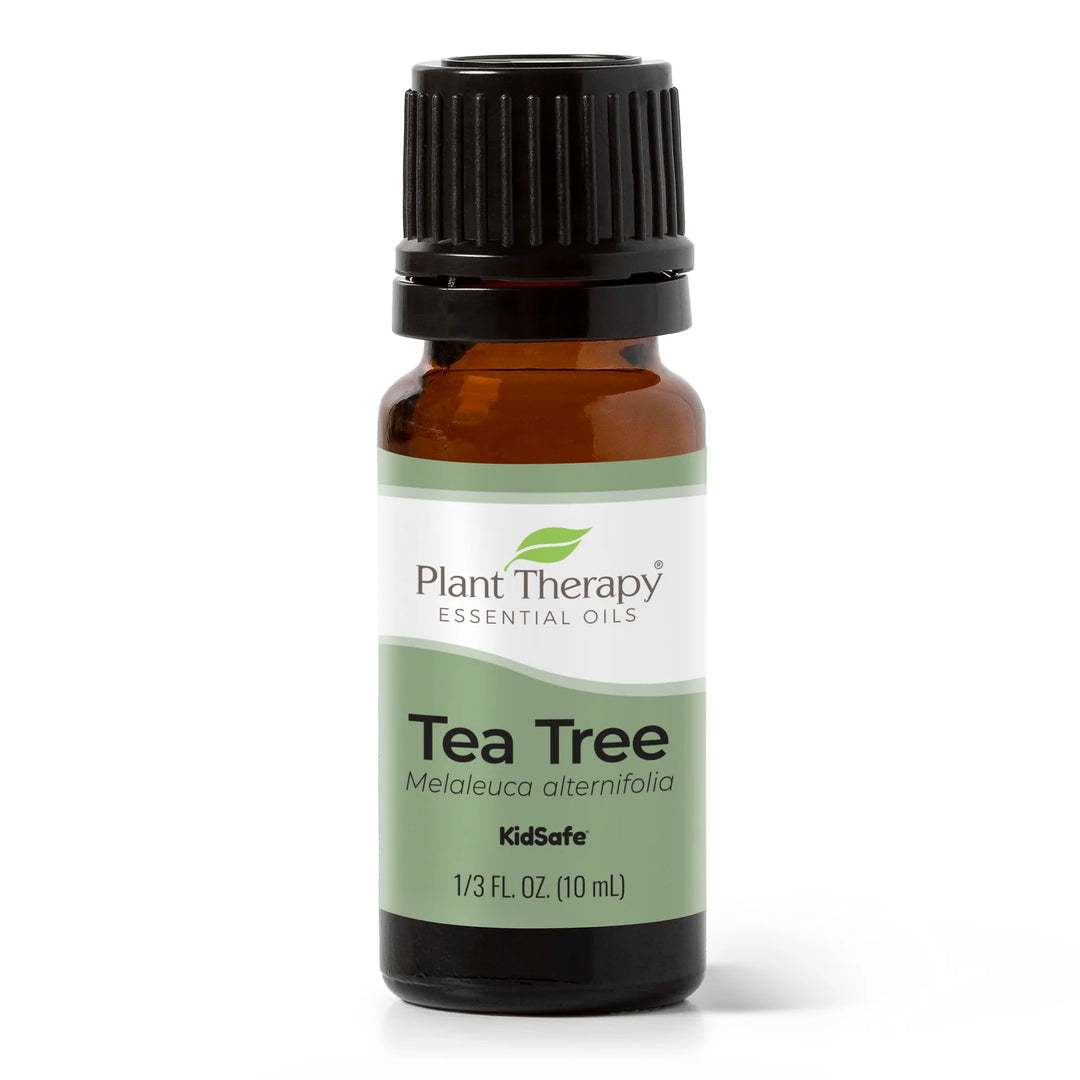 Essential Oil - tea tree